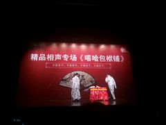 -合肥大剧院