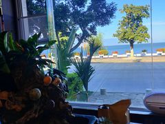 -野菌皇海景野生菌火锅(滨海大道店)