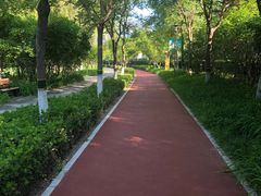 -大兴滨河森林公园