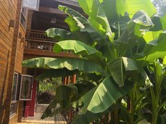 -合肥滨湖国家森林公园