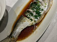 -金美华轩(东方路齐鲁店)