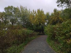 -大兴滨河森林公园