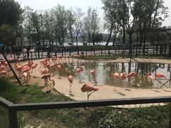 -武汉动物园