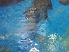 -步步高·粤北之珠海鲜坊