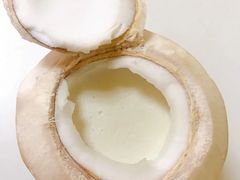 -志龙皇冠吃货椰子铺