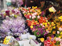 -越秀西湖花市(广州城市广场花卉店)