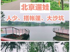 -东郊湿地公园