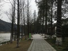 -常德桃花源景区