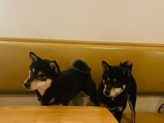 -柴の食堂·日式家庭料理·熊之肆(大学路店)