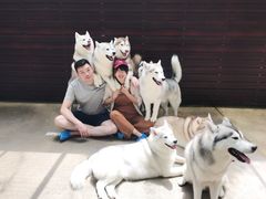 -TrueLove @ Neverland (Husky Cafe)