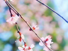 -安定门(地铁站)