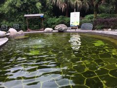 -雅安楠水阁温泉酒店