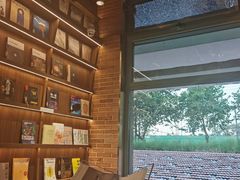 -游心咖啡(青山红坊店)