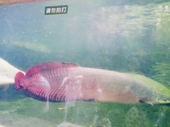 -青青世界