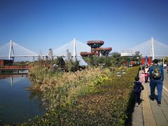 -芒洲湿地公园