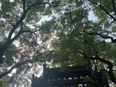-北京国子监胡同