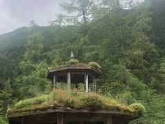 -黄龙山原始森林景区