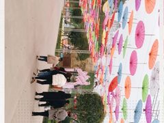 -都江堰玫瑰花溪谷