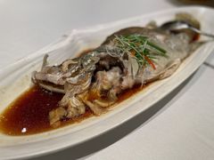 清蒸石斑鱼-花家怡园