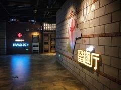 -CGV影城(壹方城IMAX店)