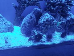 -上海海洋水族馆