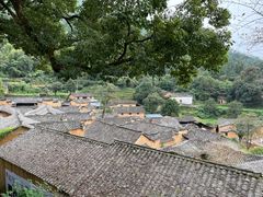 -杨家堂村