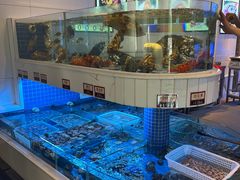 -金苑海鲜酒家(来魅力店)