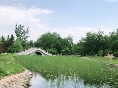 -御林古桑园