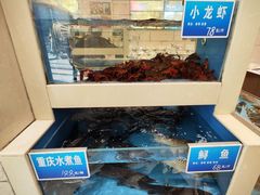 -双井轩(双井店)