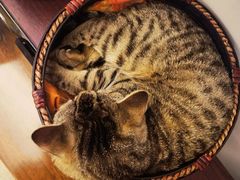 -黄阿姨锅贴大王(万航渡路店)