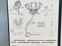 -贵州省地质博物馆
