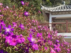 -广州市石门国家森林公园