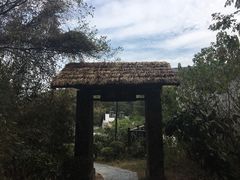 -巢湖姥山岛