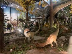 -湖南省地质博物馆