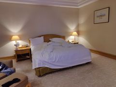 -南京维景国际大酒店(南京博物院店)