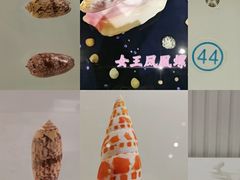 -青岛贝壳博物馆