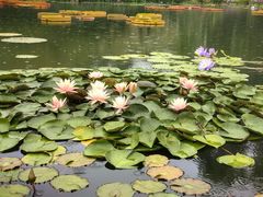 -国家植物园南园