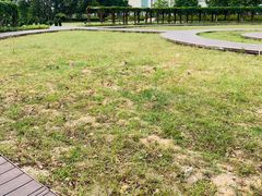 -龙环葡韵住宅式博物馆