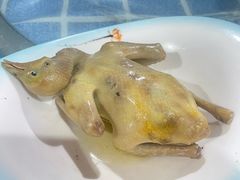 五指毛桃乳鸽-石岐乳鸽村(南海第三分店)