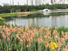 -南宁南湖公园