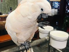 -四海楼(如皋定慧禅寺店)