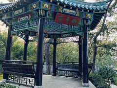 -古琴台