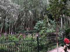 -艾提尕尔清真寺