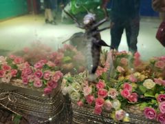 -上海昆虫博物馆