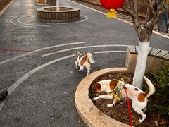 -沙县小吃文化城