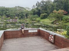 -云溪植物园