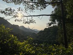 -东莞市大岭山森林公园