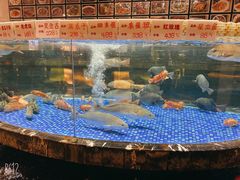 -顺德人家食府(黄金广场店)