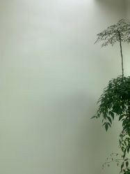 -HEYAN荷妍专业脱毛连锁机构
