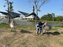 -盐城丹顶鹤湿地生态旅游区